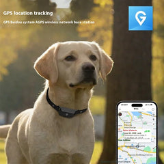 Pet Global Positioning Collar – Real-Time Tracking Locator