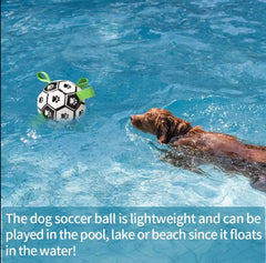 Unleash the Fun with Our Dog Soccer Ball!