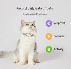 PETKIT Dog Activity Tracker