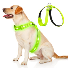 GlowTrack Comfort Harness XL