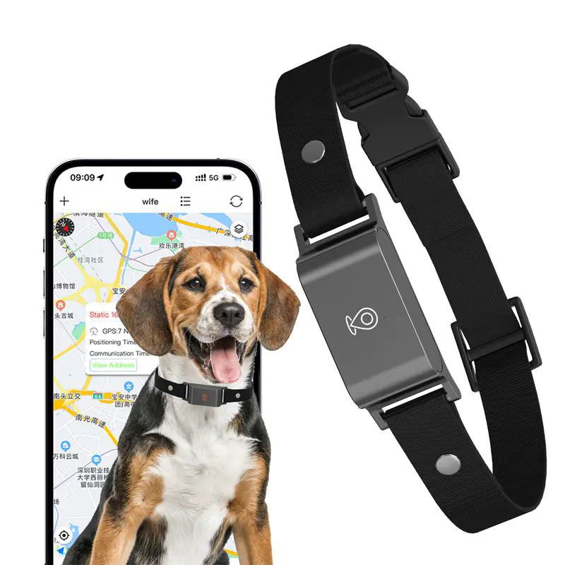 Pet Global Positioning Collar – Real-Time Tracking Locator