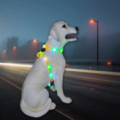 Light Up Dog Harness for Medium Dogs Lighted Dog Harness Rechargeable Waterproof Illuminated Glow in The Dark Light up Dog Vest LED